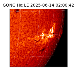 gong - 2025-06-14T02:00:42