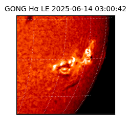 gong - 2025-06-14T03:00:42