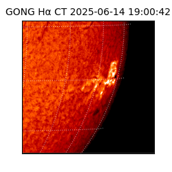 gong - 2025-06-14T19:00:42