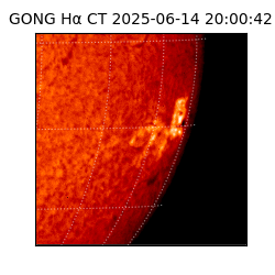 gong - 2025-06-14T20:00:42