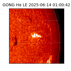gong - 2025-06-14T01:00:42