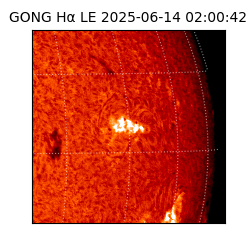 gong - 2025-06-14T02:00:42