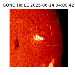 gong - 2025-06-14T04:00:42