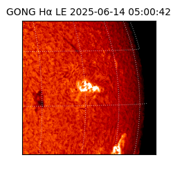 gong - 2025-06-14T05:00:42