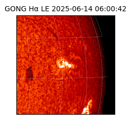 gong - 2025-06-14T06:00:42