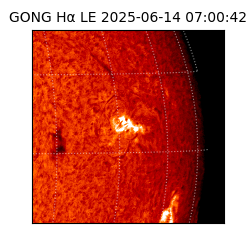 gong - 2025-06-14T07:00:42