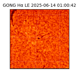 gong - 2025-06-14T01:00:42