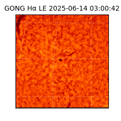 gong - 2025-06-14T03:00:42
