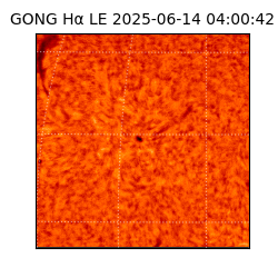 gong - 2025-06-14T04:00:42