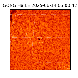 gong - 2025-06-14T05:00:42