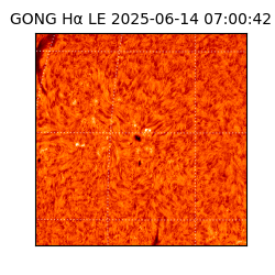 gong - 2025-06-14T07:00:42