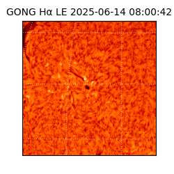 gong - 2025-06-14T08:00:42
