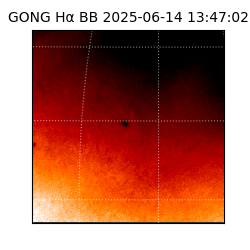 gong - 2025-06-14T13:47:02
