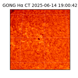gong - 2025-06-14T19:00:42