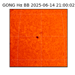 gong - 2025-06-14T21:00:02