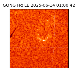 gong - 2025-06-14T01:00:42