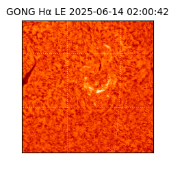 gong - 2025-06-14T02:00:42