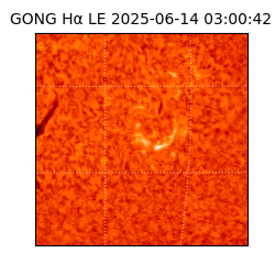 gong - 2025-06-14T03:00:42