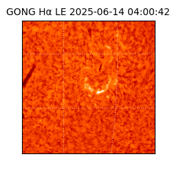 gong - 2025-06-14T04:00:42