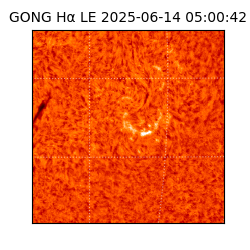 gong - 2025-06-14T05:00:42