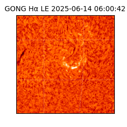 gong - 2025-06-14T06:00:42