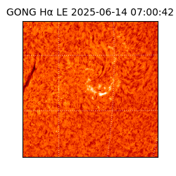 gong - 2025-06-14T07:00:42