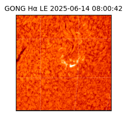 gong - 2025-06-14T08:00:42