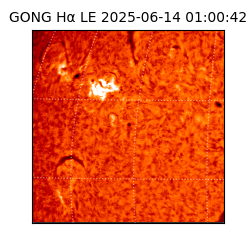 gong - 2025-06-14T01:00:42