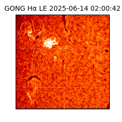 gong - 2025-06-14T02:00:42
