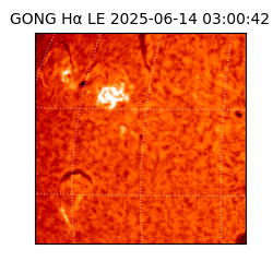 gong - 2025-06-14T03:00:42