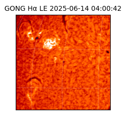 gong - 2025-06-14T04:00:42