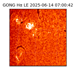 gong - 2025-06-14T07:00:42