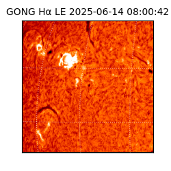 gong - 2025-06-14T08:00:42