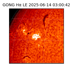 gong - 2025-06-14T03:00:42