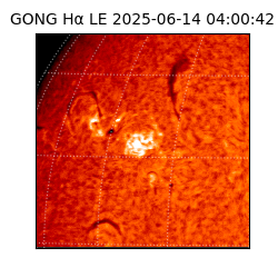 gong - 2025-06-14T04:00:42