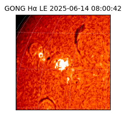 gong - 2025-06-14T08:00:42