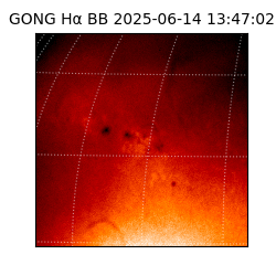 gong - 2025-06-14T13:47:02