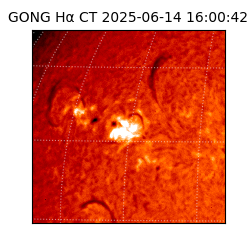 gong - 2025-06-14T16:00:42