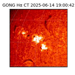 gong - 2025-06-14T19:00:42