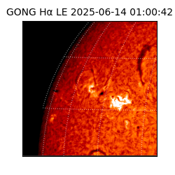 gong - 2025-06-14T01:00:42