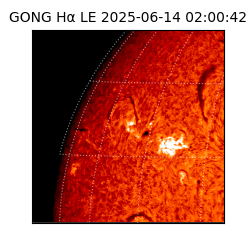 gong - 2025-06-14T02:00:42