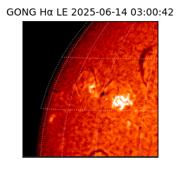 gong - 2025-06-14T03:00:42