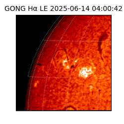 gong - 2025-06-14T04:00:42