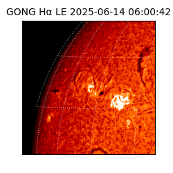 gong - 2025-06-14T06:00:42