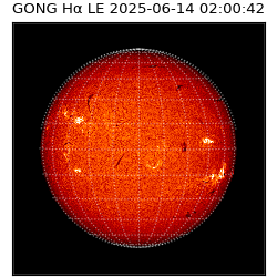gong - 2025-06-14T02:00:42