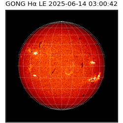 gong - 2025-06-14T03:00:42