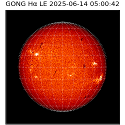 gong - 2025-06-14T05:00:42