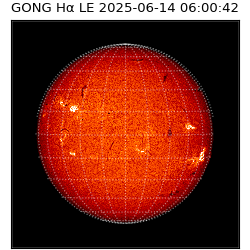 gong - 2025-06-14T06:00:42