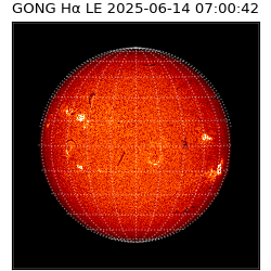 gong - 2025-06-14T07:00:42