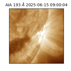 saia - 2025-06-15T09:00:04.843000